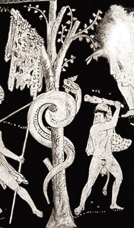 Ἰά&sigma;&omega;&nu;, Ἡ&rho;&alpha;&kappa;&lambda;ῆ&sigmaf;, &kappa;&alpha;ὶ &Kappa;&omicron;&lambda;&chi;&iota;&kappa;ὸ&sigmaf; &Delta;&rho;ά&kappa;&omega;&nu;