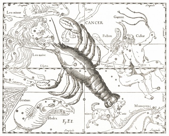 Ὁ ἀ&sigma;&tau;&epsilon;&rho;&iota;&sigma;&mu;ὸ&sigmaf; &tau;&omicron;ῦ &Kappa;&alpha;&rho;&kappa;ί&nu;&omicron;&upsilon;, Ἑ&beta;έ&lambda;&iota;&omicron;&sigmaf;